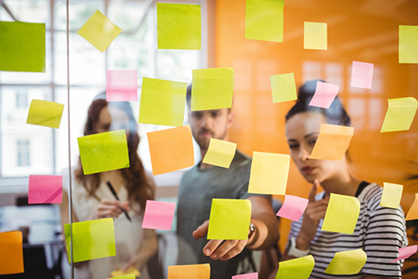 capacitaciones diseñadas para generar un impacto significativo
